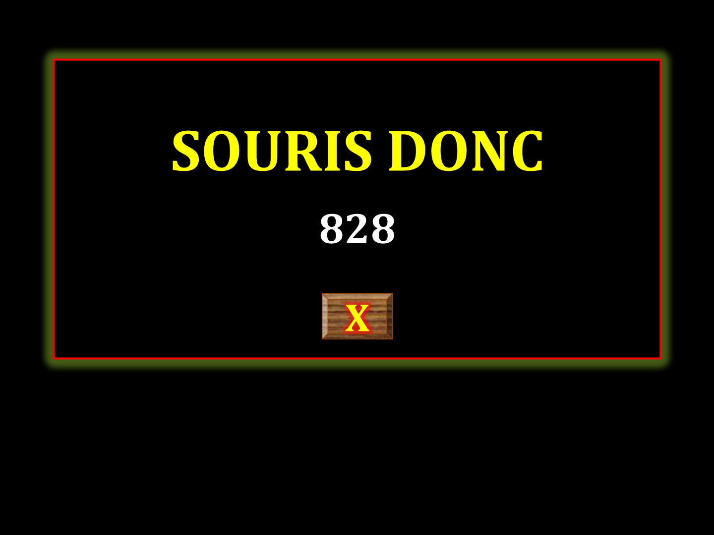 Souris Donc 828